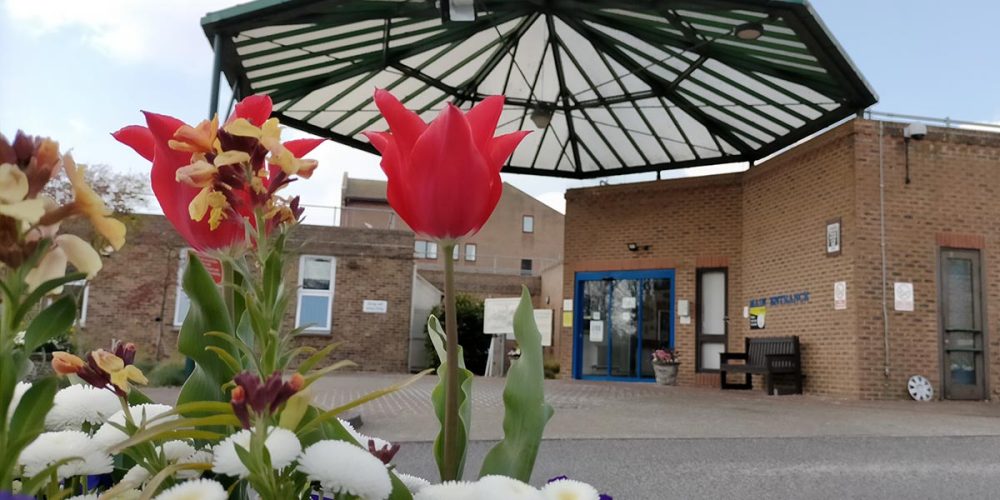 Supporting our local hospitals Maroon Balloon website design & SEO