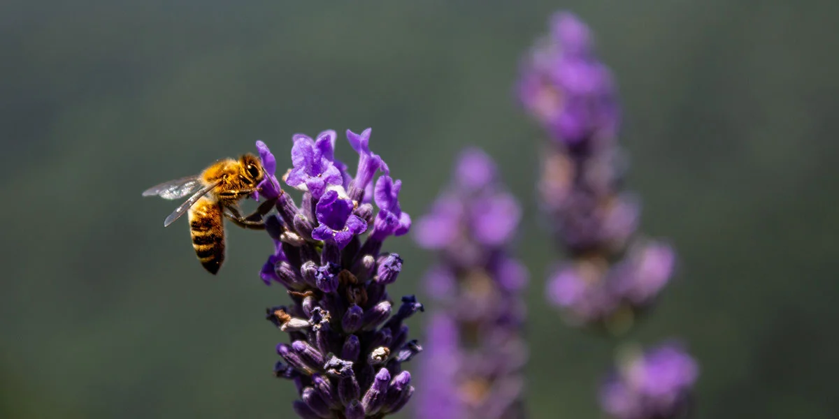 Beeing responsible…