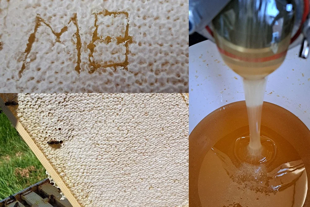 Honeycomb extraction process